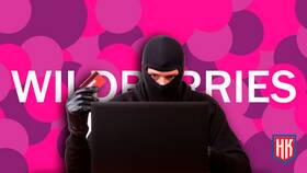 Что делать при возникновении проблем на Ozon в Сибирское Здоровье