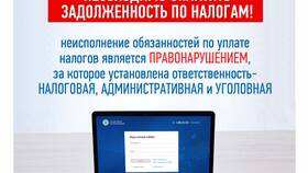 Что означает отрицательное сальдо ЕНС в налоговой в Сибирское Здоровье