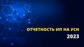 Что сдает ИП на УСН 
