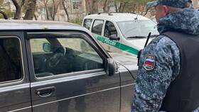 Что такое долг ФССП на авто в Сибирское Здоровье
