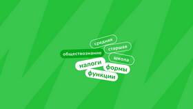 Что такое налоги: простое объяснение