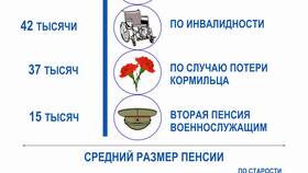 Что значит предполагаемый размер страховой пенсии в Сибирское Здоровье