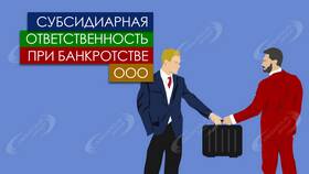 Как избежать субсидиарной ответственности директора ООО