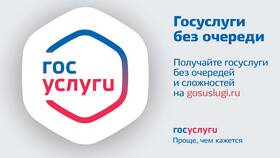 Как подать заявку на портале Госуслуги в Сибирское Здоровье