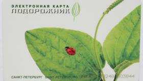 Как пополнить карту Подорожник в Сибирское Здоровье