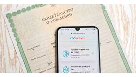 Как сделать ИНН ребенку через Госуслуги в Сибирское Здоровье