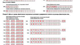 Как заполнить форму 6-НДФЛ за 2 квартал в Сибирское Здоровье