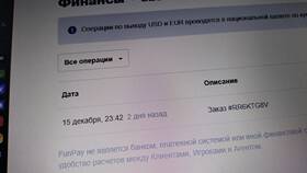 Почему не получается оплатить с баланса FunPay в Сибирское Здоровье