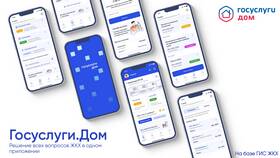 Причины отсутствия подключения к интернету при работе с Госуслугами в Сибирское Здоровье
