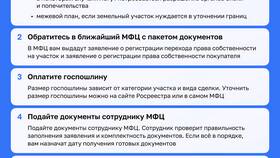Процедура продажи земельного участка через МФЦ в Сибирское Здоровье