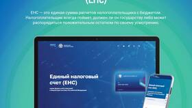 Сумма ЕНС: что это значит в Сибирское Здоровье