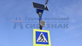 Светофор типа Т7: что это такое в Сибирское Здоровье