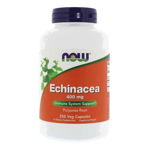 Добавка для иммунитета NOW Echinacea Root 250 капс. натуральный в Сибирское Здоровье